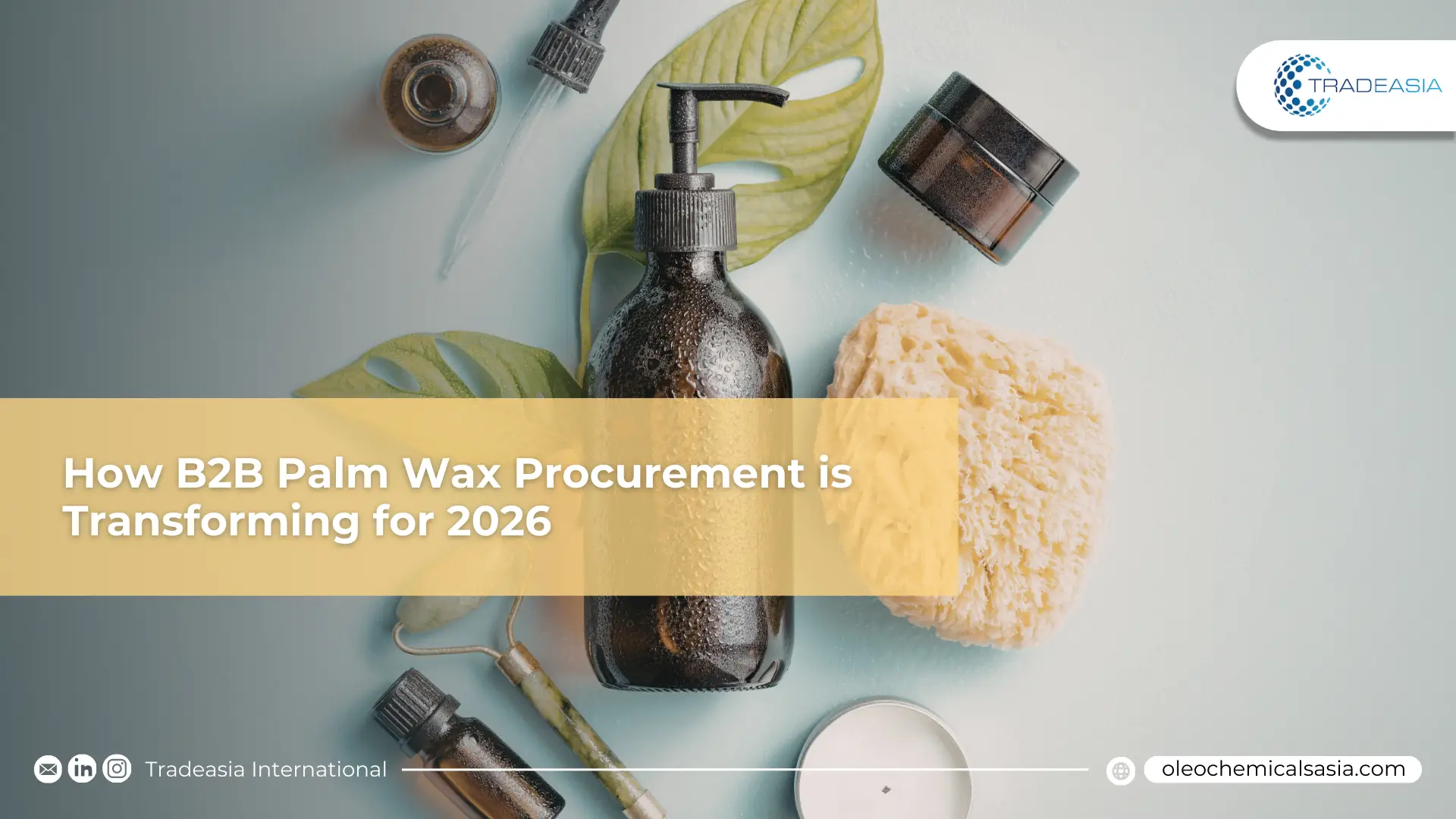Xoay xoay Hóa học Xanh: Việc mua sắm sáp cọ B2B đang chuyển đổi như thế nào cho năm 2026