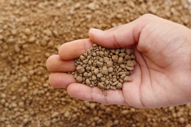 India DAP Tender Oversubscribed: Signals for Global Phosphate Prices