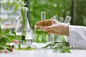 Ras Tanura khởi động lại nhiên liệu tăng xuất khẩu quý 3 cho ngành công nghiệp hóa chất Ả Rập Xê Út