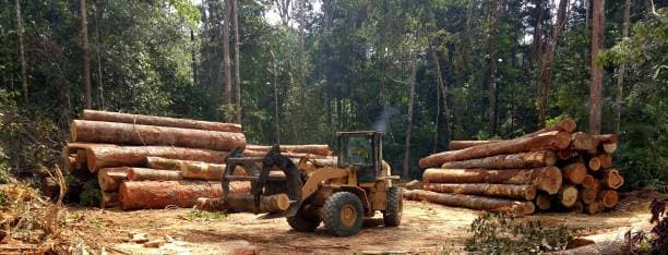 EUDR: How the EU Deforestation Regulation Is Changing Chemical Supply Chain Documentation