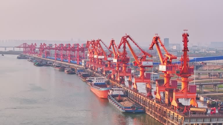 Ascorbic Acid Supply Outlook 2026: China’s Dominance Persists Amid Rising Logistics Premiums