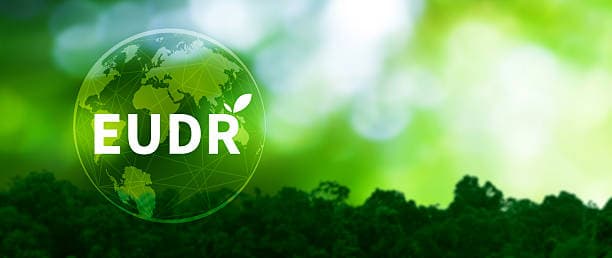 EUDR Enforcement Update: Indonesian Palm Chemical Producers at Risk