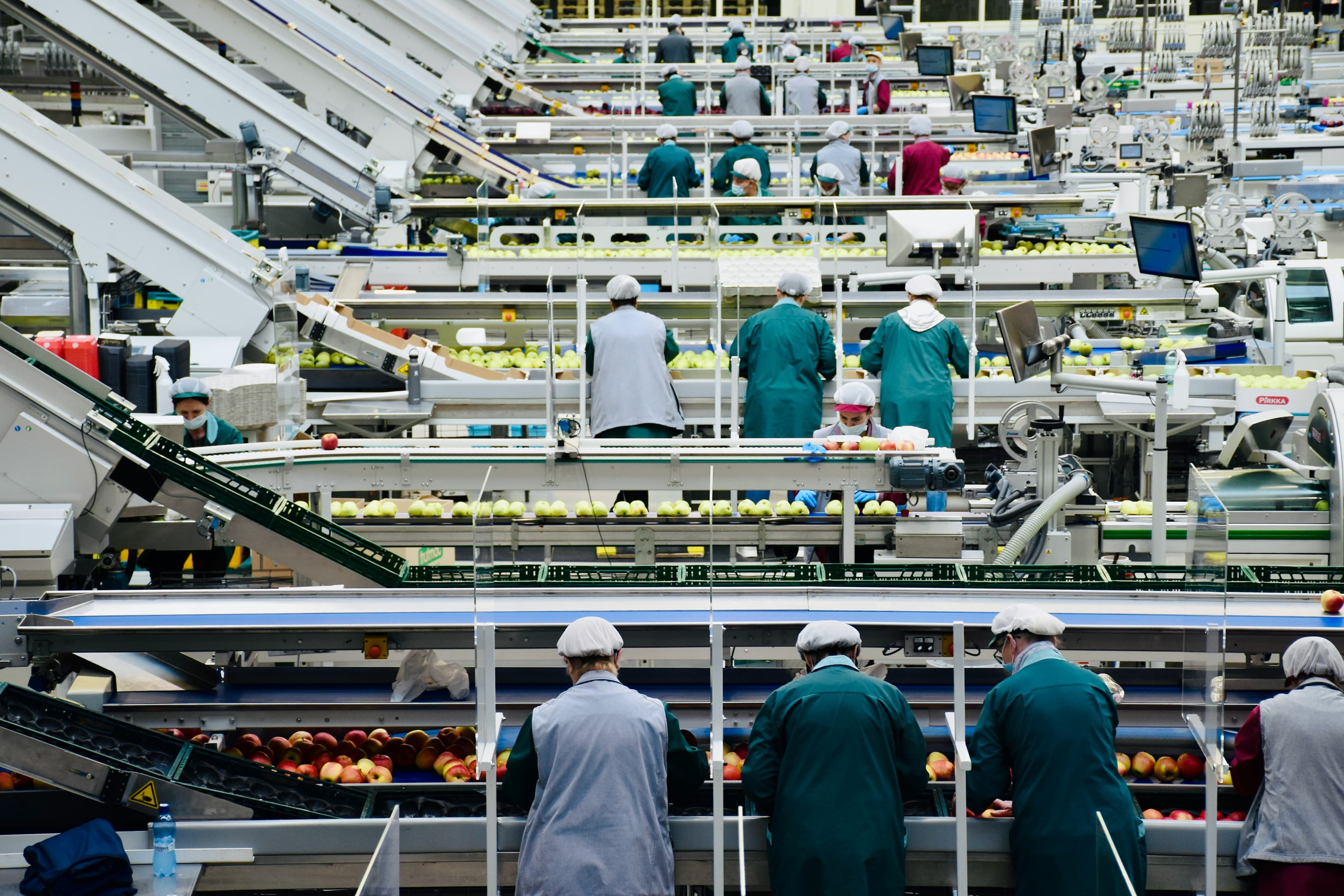 MSG Market: ASEAN Demand Recovery as GCC Food Supply Chains Resume Post-Hormuz