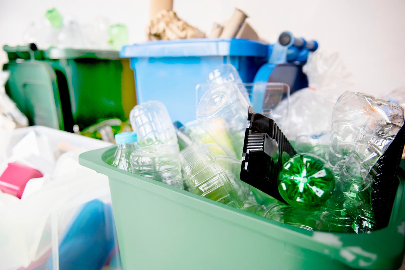 Bioplastics in the Spotlight: Brands Cautious Amid Biodiversity and Recycling Concerns