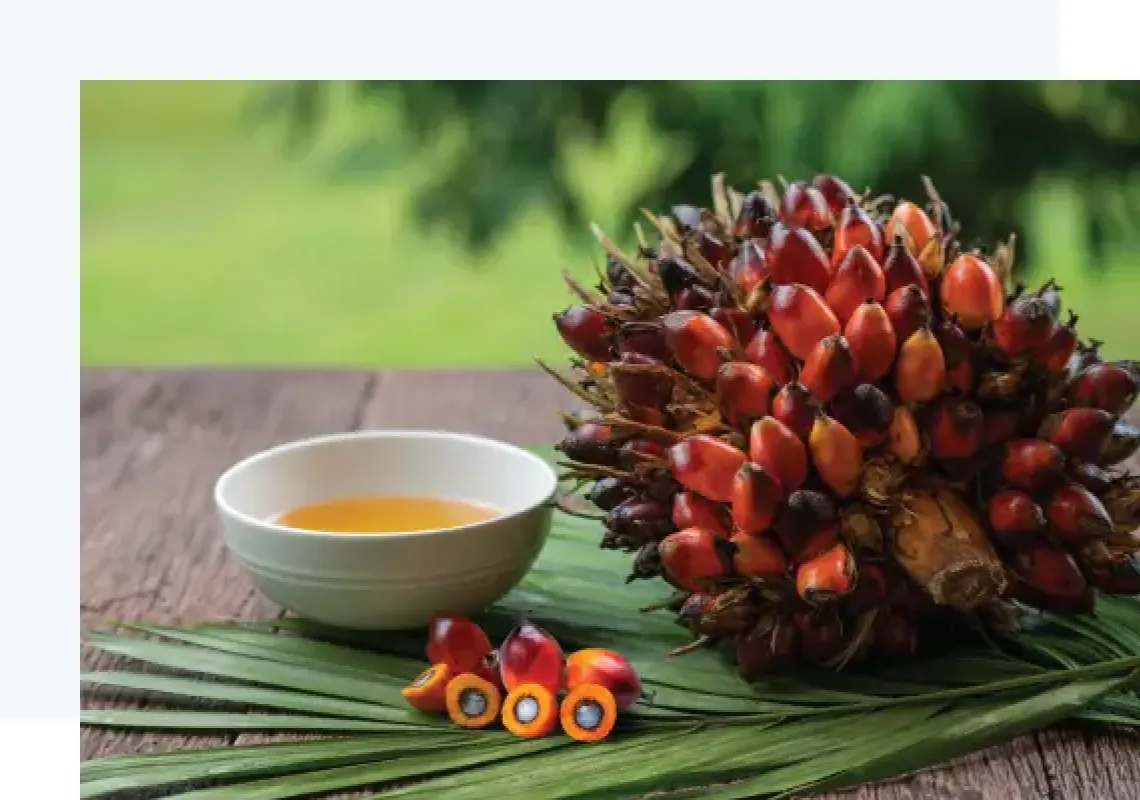 Hóa chất dầu