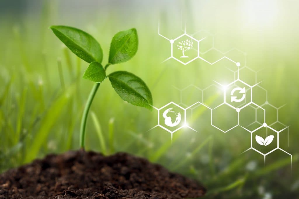 Bio Fuels