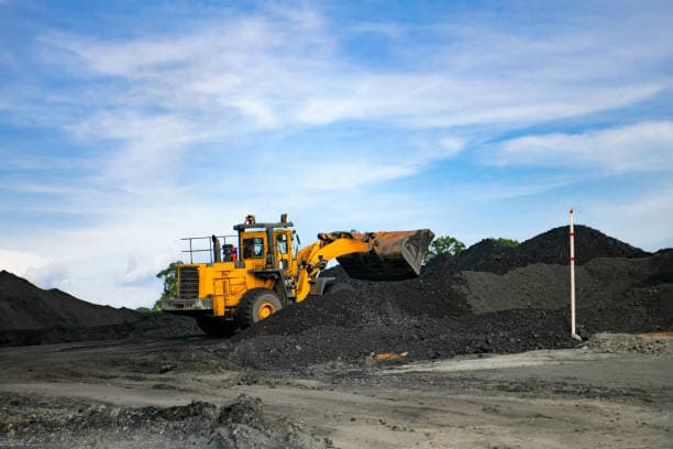 Khai thác chất thải và khoáng chất vi lượng: Một nguồn khó xảy ra cho các thành phần tăng cường thực phẩm?