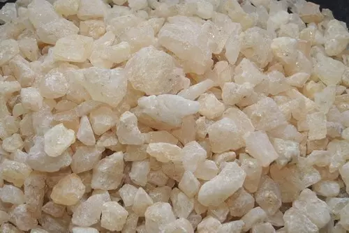 Kẹo cao su Copal
