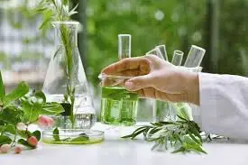 Ras Tanura khởi động lại nhiên liệu tăng xuất khẩu quý 3 cho ngành công nghiệp hóa chất Ả Rập Xê Út