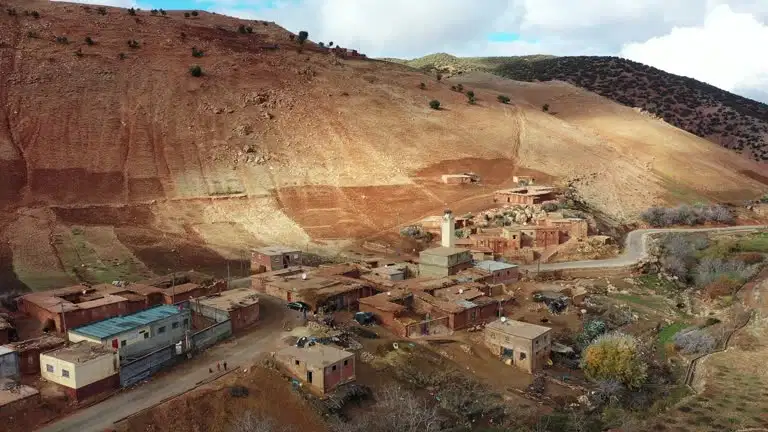 Đấu thầu tháng 7 của OCP Morocco thiết lập chuẩn giá DAP toàn cầu cho quý 3 năm 2026