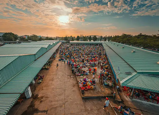 Hàng tồn kho DAP Ấn Độ 2026: Bộ đệm cổ phiếu ẩn có thể thay đổi thị trường phân bón