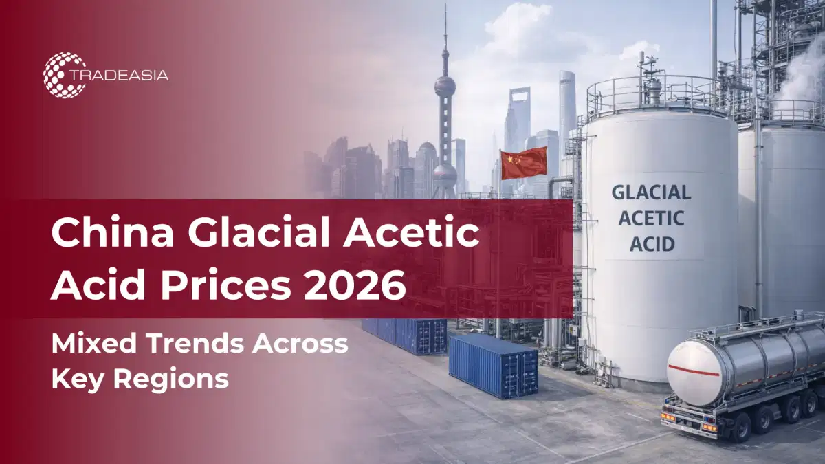 Xu hướng giá axit axetic băng hà của Trung Quốc trên các khu vực 2026