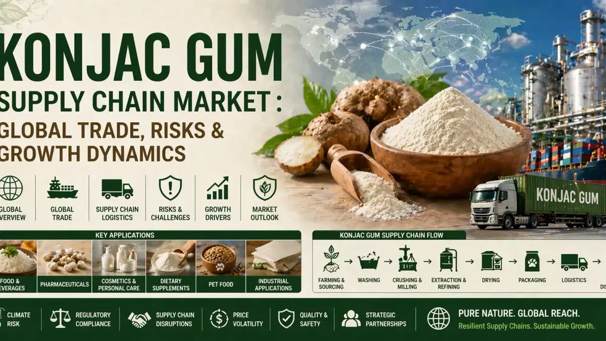 Thị trường chuỗi cung ứng kẹo cao su Konjac: Thương mại toàn cầu, rủi ro và động lực tăng trưởng