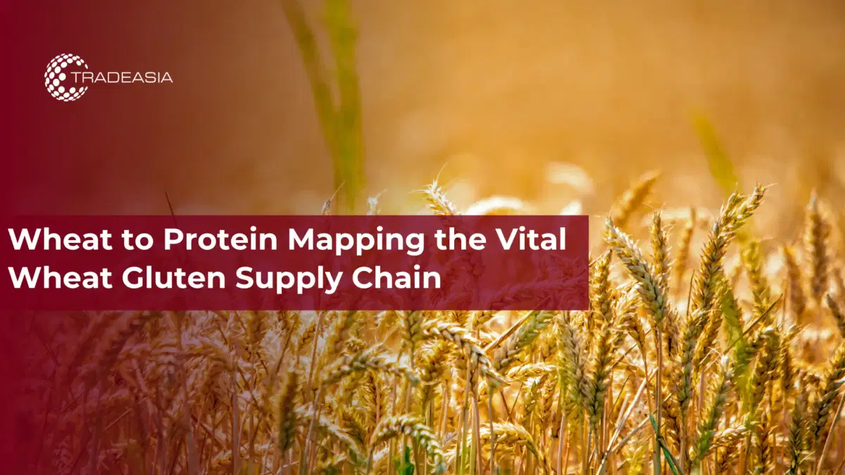 Lập bản đồ lúa mì thành protein chuỗi cung ứng gluten lúa mì quan trọng