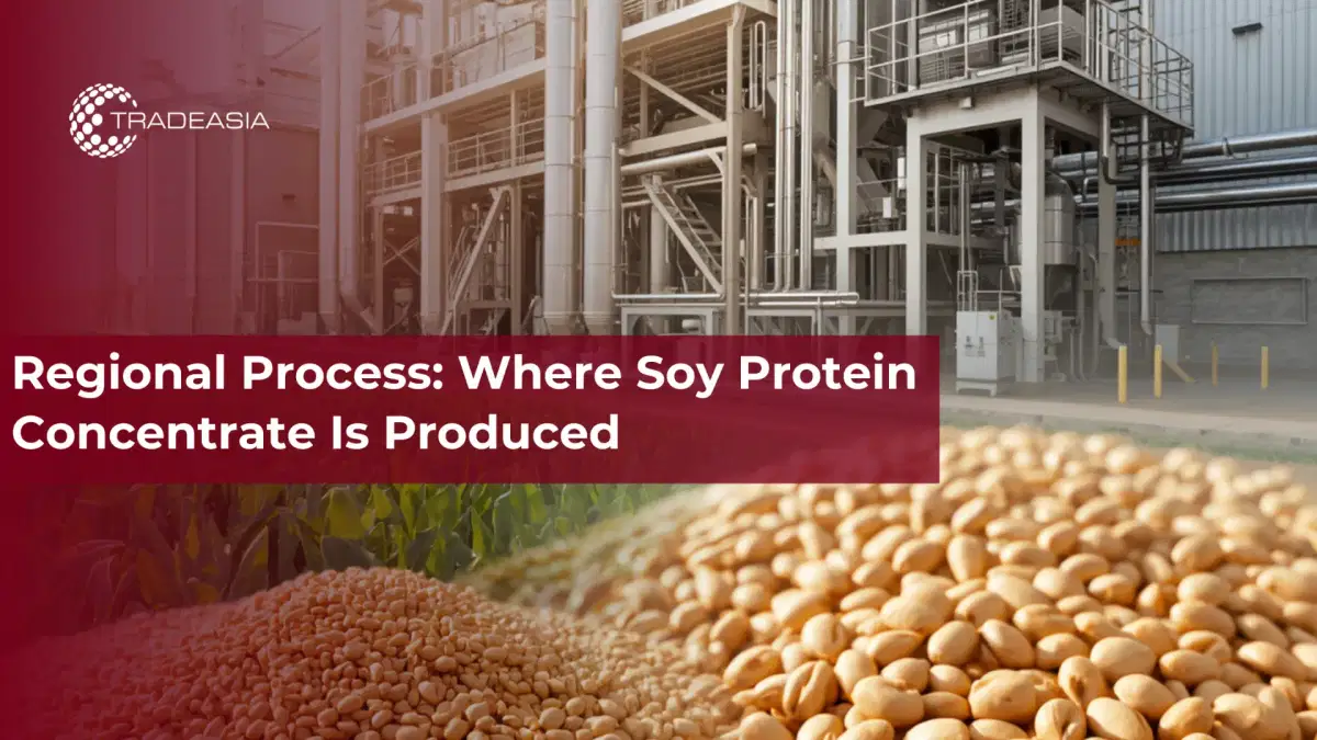 Quy trình khu vực: Nơi sản xuất protein đậu nành cô đặc