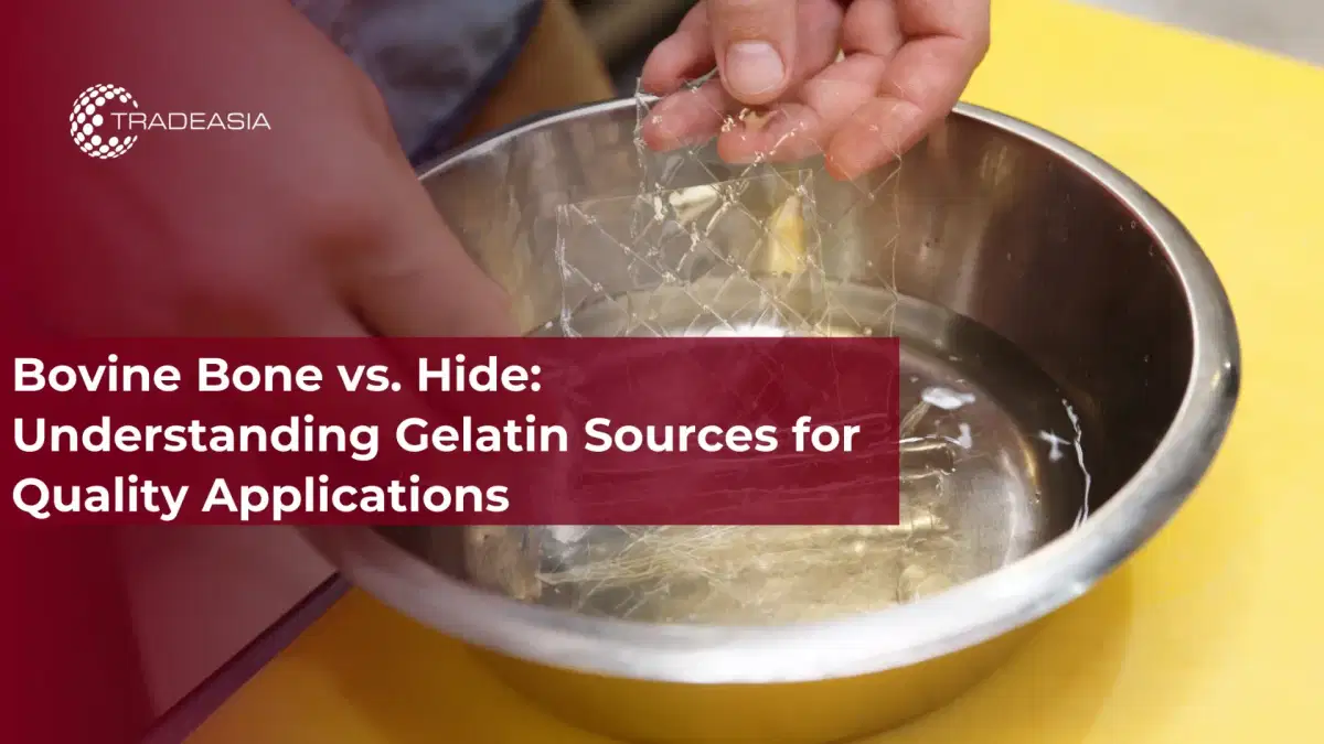 Bovine Bone vs. Hide: Hiểu nguồn Gelatin cho các ứng dụng chất lượng