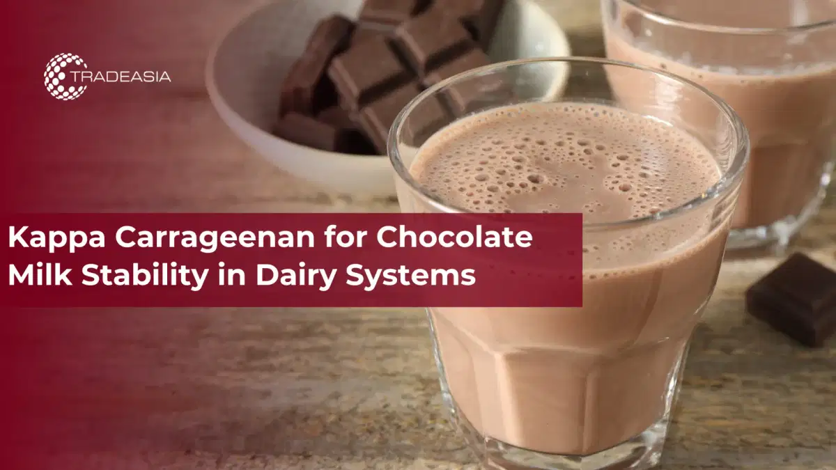 Kappa Carrageenan cho sự ổn định sữa sô cô la trong hệ thống sữa