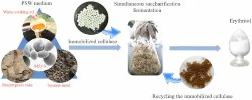 Erythritol: Chinese Fermentation Capacity Expansion and GLP-1 Demand Growth Intersection