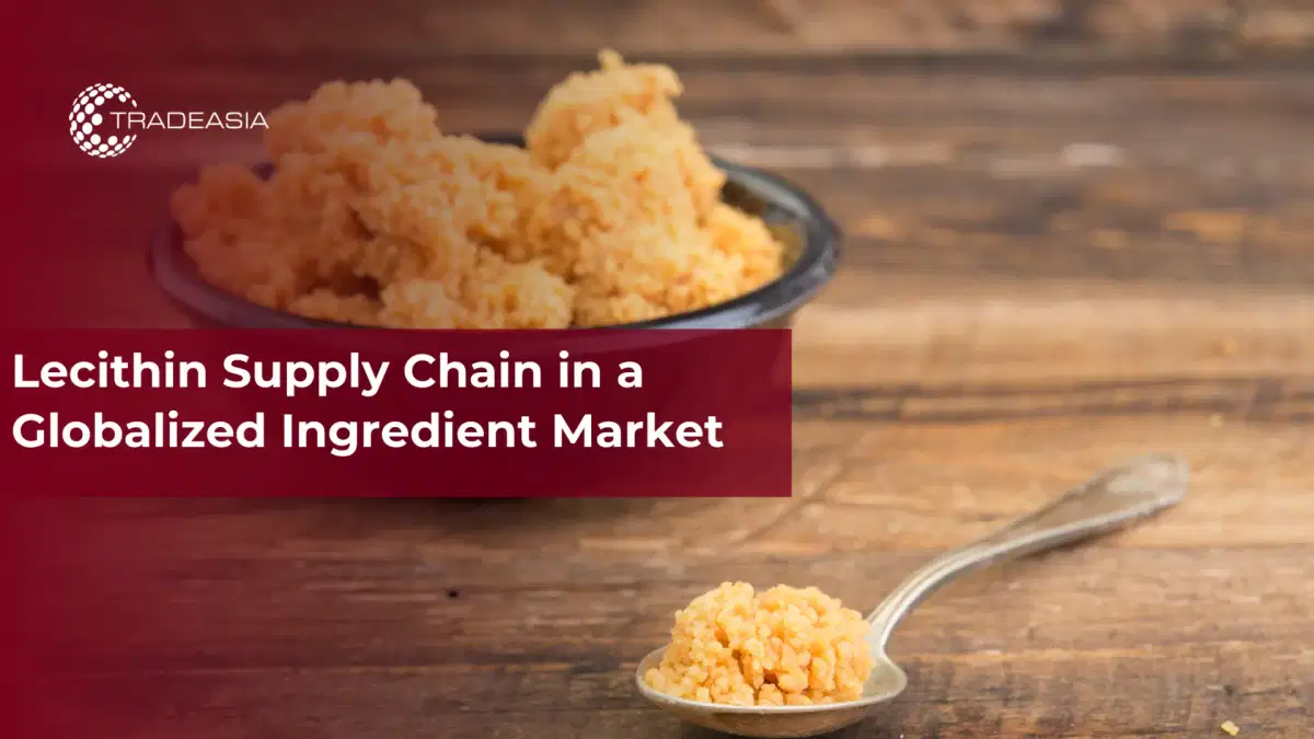 Chuỗi cung ứng lecithin trong thị trường thành phần toàn cầu