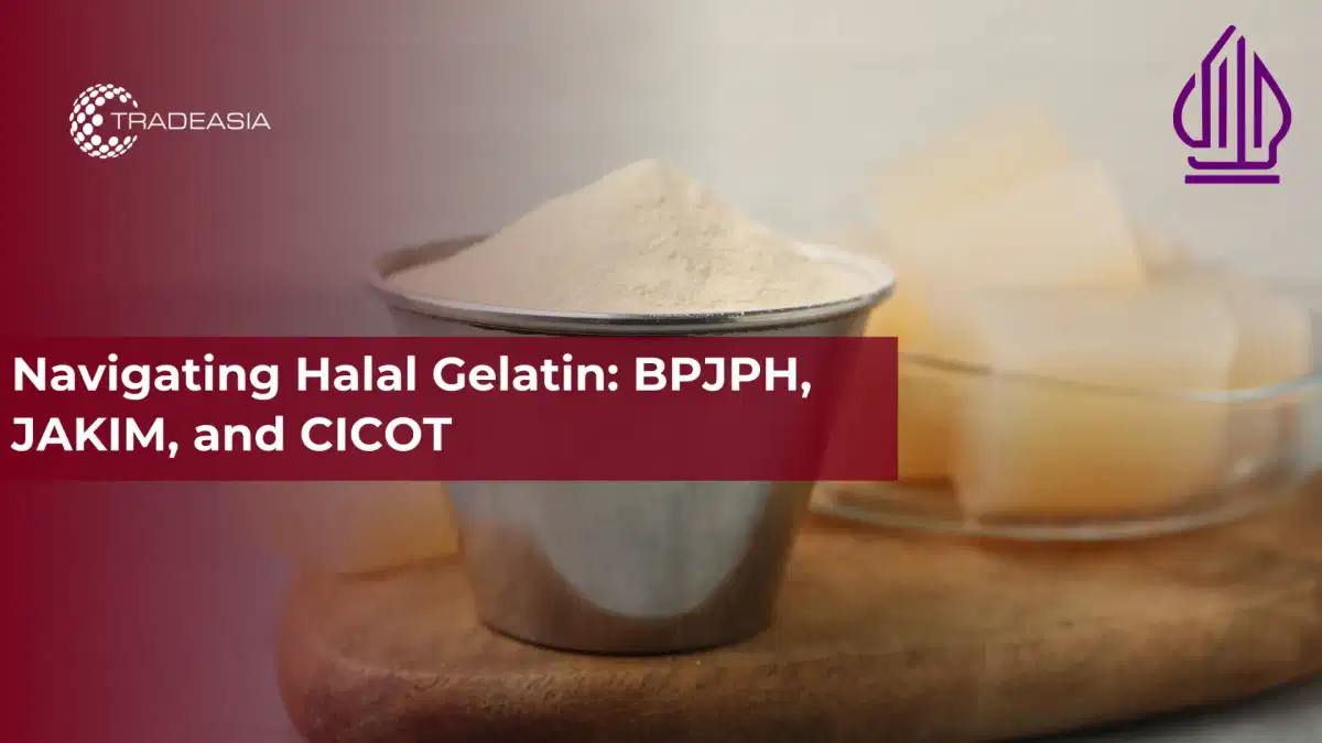 Điều hướng Gelatin Halal: BPJPH, JAKIM và CICOT